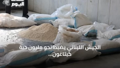 الجيش-اللبناني-يضبط-نحو-مليون-حبة-كبتاغون-وستون-كلغ-من-معجون-الحشيش-في-عملية-أمنية-بكسروان