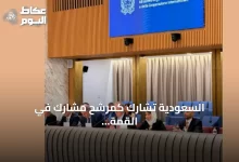السعودية-تشارك-كمرشح-مشارك-في-القمة-العاشرة-للتحالف-العالمي-لحل-الدولتين-التي-عقدت-في-روما