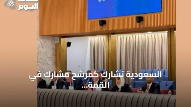 السعودية-تشارك-كمرشح-مشارك-في-القمة-العاشرة-للتحالف-العالمي-لحل-الدولتين-التي-عقدت-في-روما